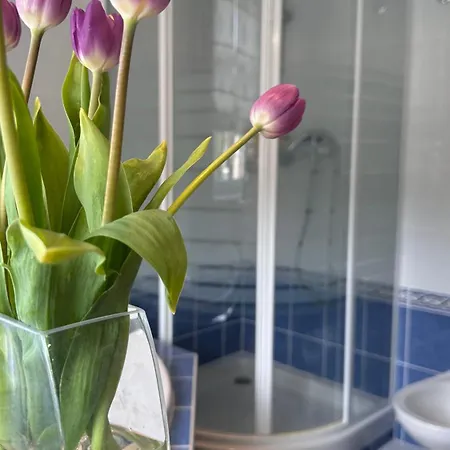 Elegant 2 Bedrooms In Quiet Area