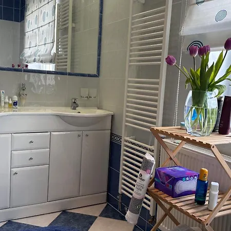 Elegant 2 Bedrooms In Quiet Area * Mariánské Lázně